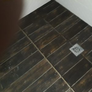 0-02-05-bbb1c98fff10f20ba6f7ed3813e35fe9c900484d96eb382c107a9caaf9775121_bbef97b1ee37024b